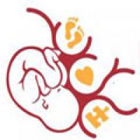 LES REFLEXES de l’APPRENTISSAGE. Cognition et Intégration Motrice Primordiale